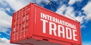 Isi Inyang on International trade for Vanised Limited