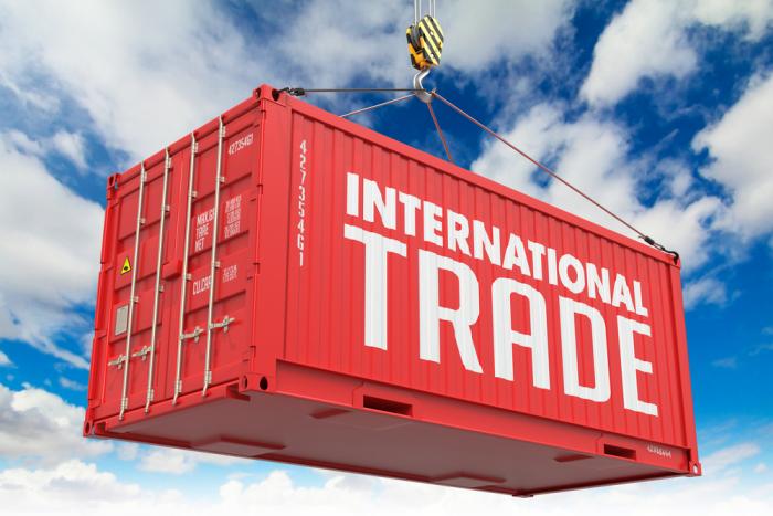 Isi Inyang on International trade for Vanised Limited